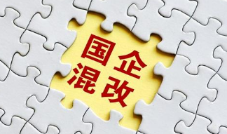 国资委印发中央企业混合所有制改革操作指引